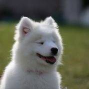 photograph by PeterW